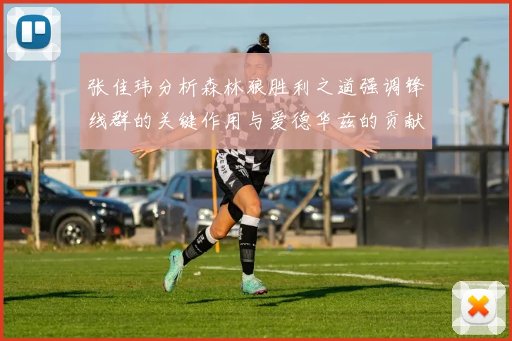 张佳玮分析森林狼胜利之道强调锋线群的关键作用与爱德华兹的贡献